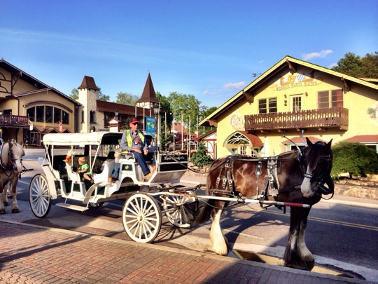 buggy rides near me